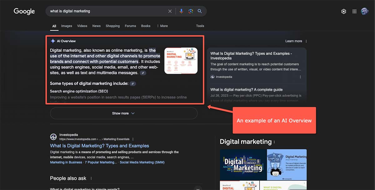 Google AI summary result highlighting search in the age of AI.