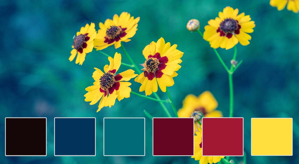 Bright yellows paired with rich reds and deep blues create a vibrant, playful atmosphere in this color scheme. It’s a perfect fit for businesses that thrive on creativity, like advertising agencies, design firms, or educational institutions. 