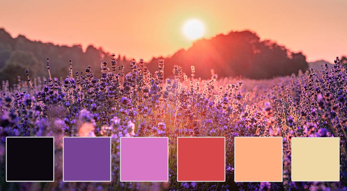 This palette of soft purples, peach, and sunset orange is calming and serene, making it ideal for wellness brands or businesses in the beauty industry. 
