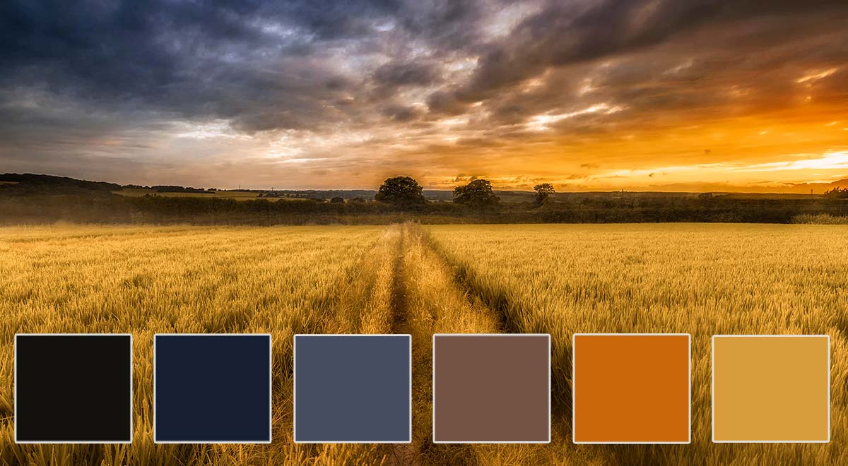 With rich navy blues, warm golden browns, and dusky grays, this palette is all about stability and trust. It’s perfect for financial services, law firms, or any business that wants to project a sense of reliability and professionalism. 