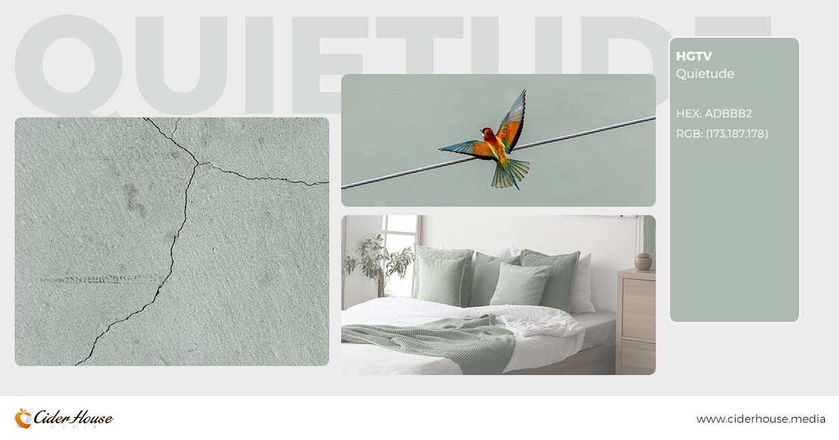 HGTV Home by Sherwin-Williams Quietude, featured in home decor and natural settings as a 2025 color of the year.