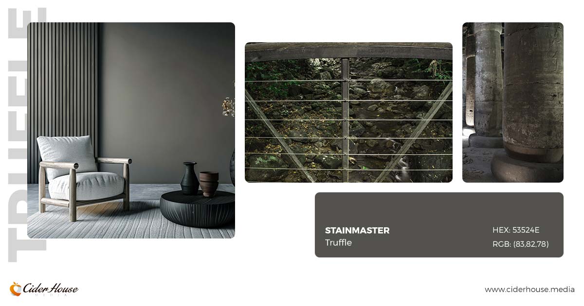 Stainmaster Truffle Color of the Year 2025 – Rich earthy brown texture and nature inspiration
